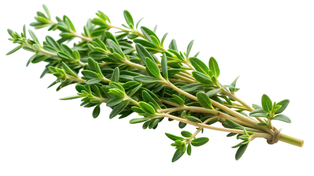 Thyme
