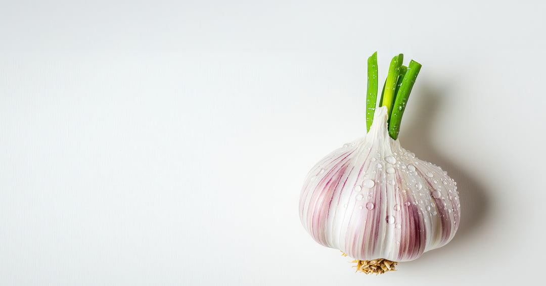 Fresh Garlic each