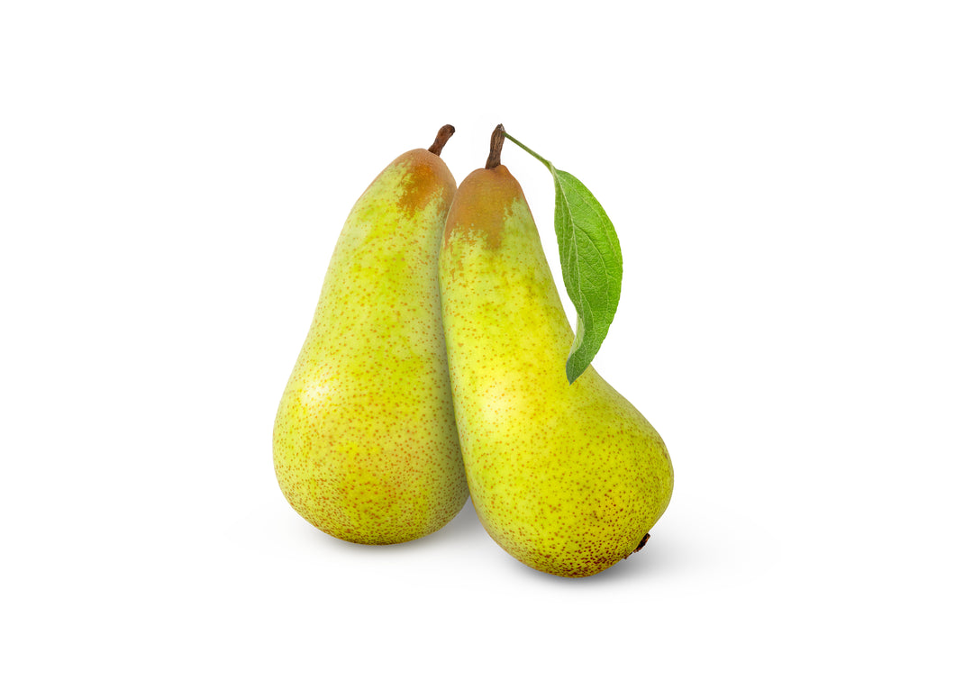 Conference Pear each