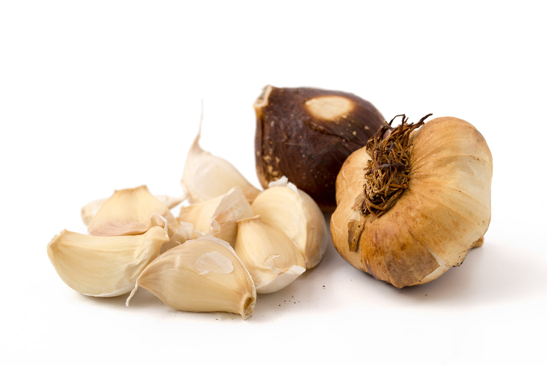 Fresh Smoked Garlic Bulb