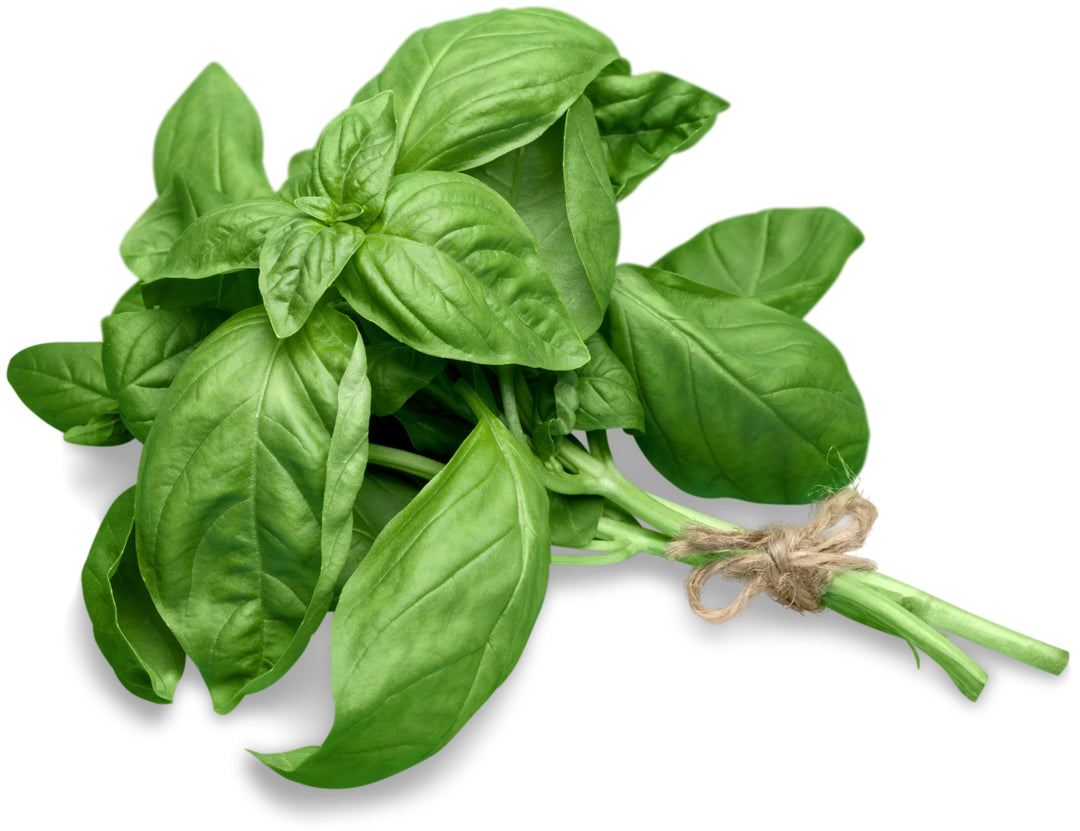 Basil Pack