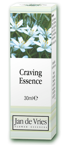 Jan de Vries Craving Essence 30ml