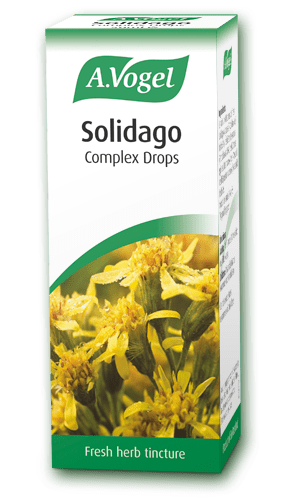 A.Vogel Solidago Complex Drops 50ml