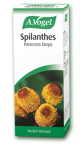 A.Vogel Spilanthes 50ml