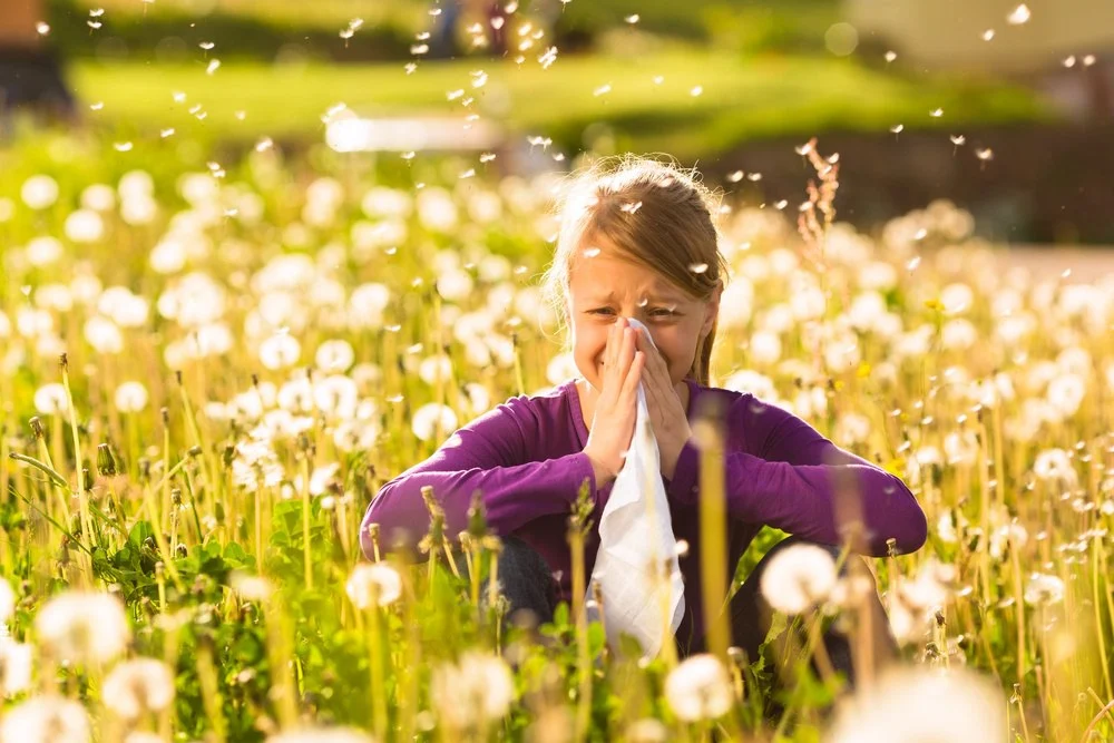 Hay Fever: The Pollen Puzzle & Managing Seasonal Allergies
