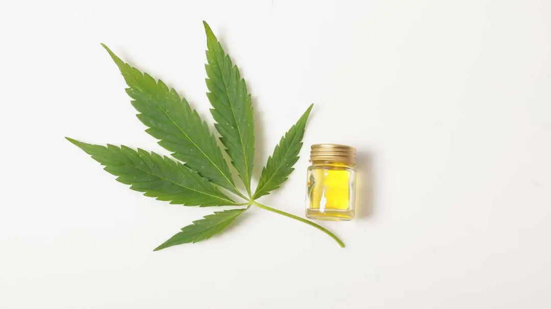 CBD Oil FAQ's