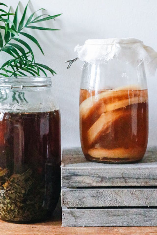 Kombucha - The Living Health Drink
