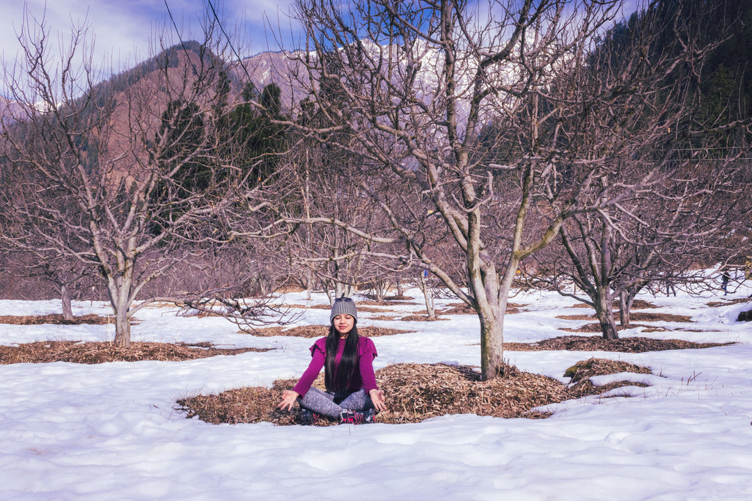 What is winter wellness?