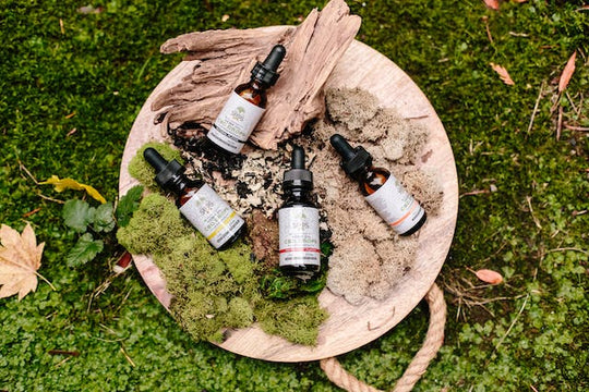 CBD vs CBG Oil: What is the difference?