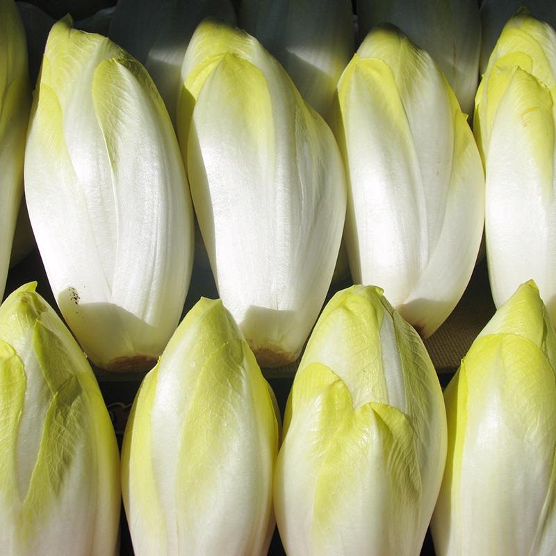 Chicory 1kg