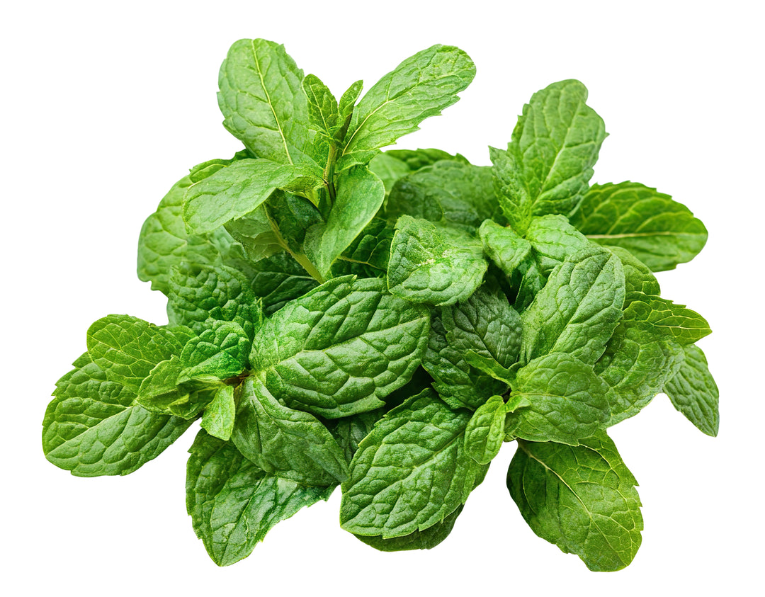 Mint