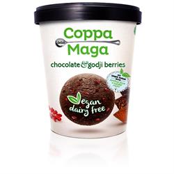 Vegan Chocolate & Goji Berries Ice Cream 125ml