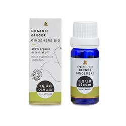 Organic Ginger Zingiber Officinale (France) Essential Oil 10ml