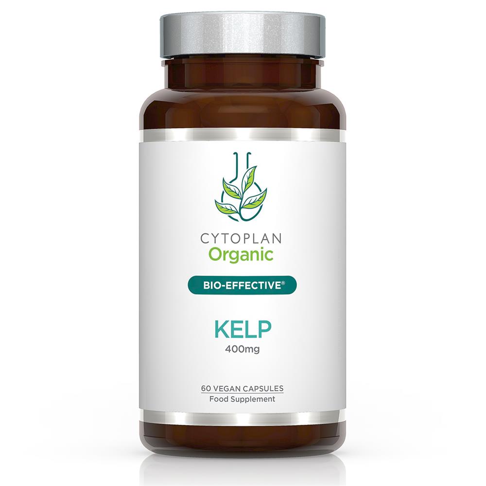 Organic kelp