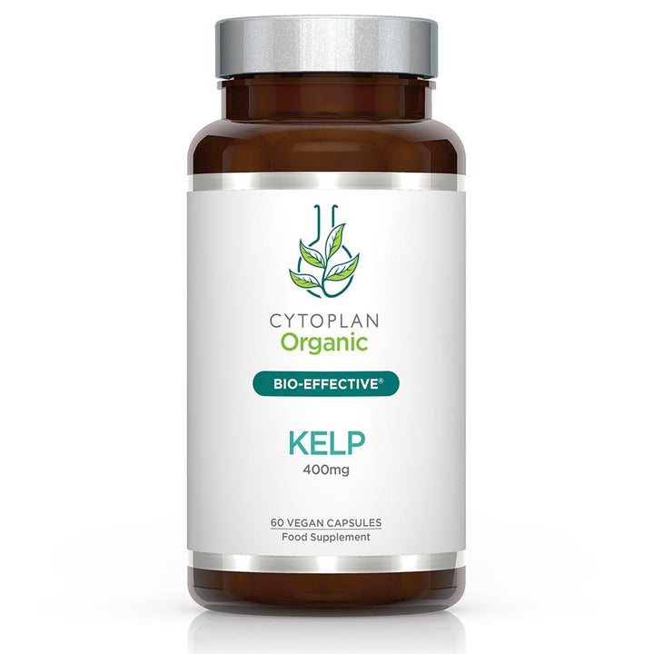 Organic kelp