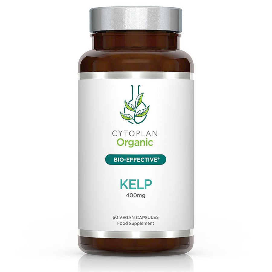 Organic kelp