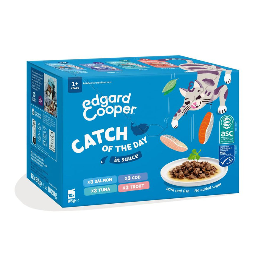 Cat Food Pouches Catch of the Day Fish Selection in Gravy