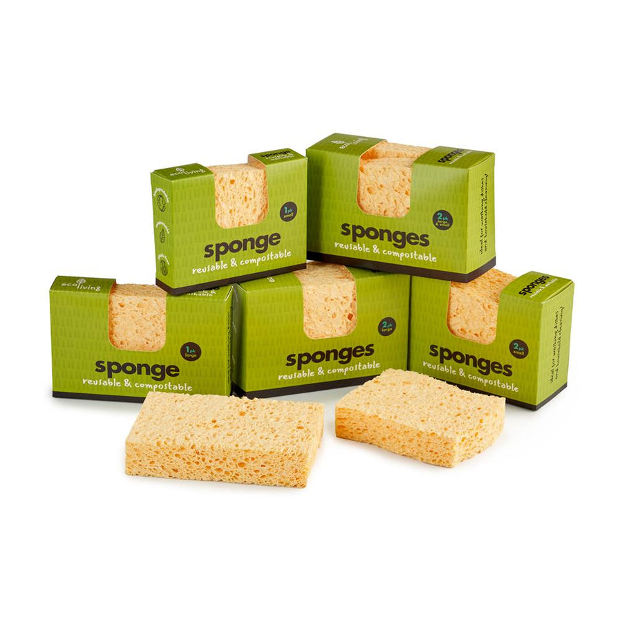 Compostable UK Sponge 2 pack 1 wavy 1 large