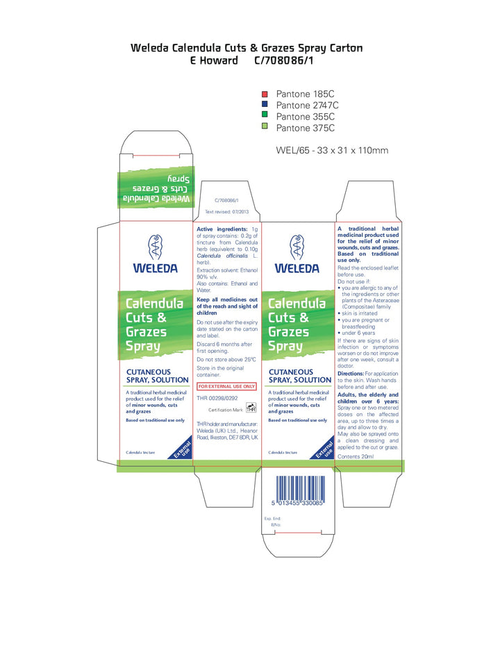 DISTANCE SELLING PDF