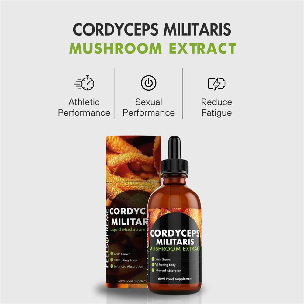Cordyceps Militaris Mushroom Liquid | 60ml