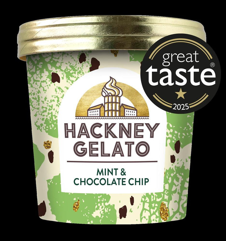 Mint & Chocolate Chips Gelato 100ml