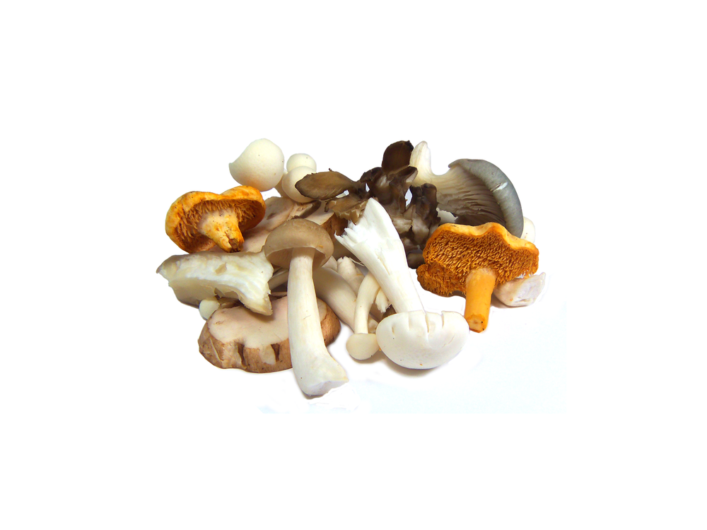 Wild Mushroom Pack (2 Packs)