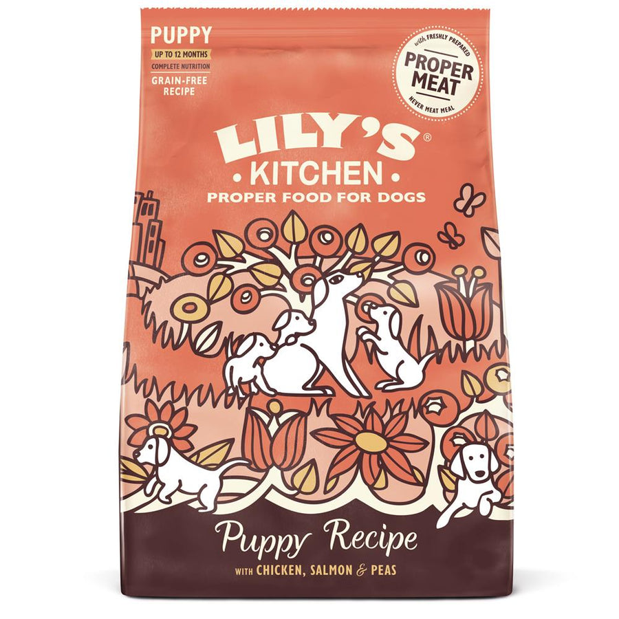 Chicken & Salmon Puppy Dry Food 1kg