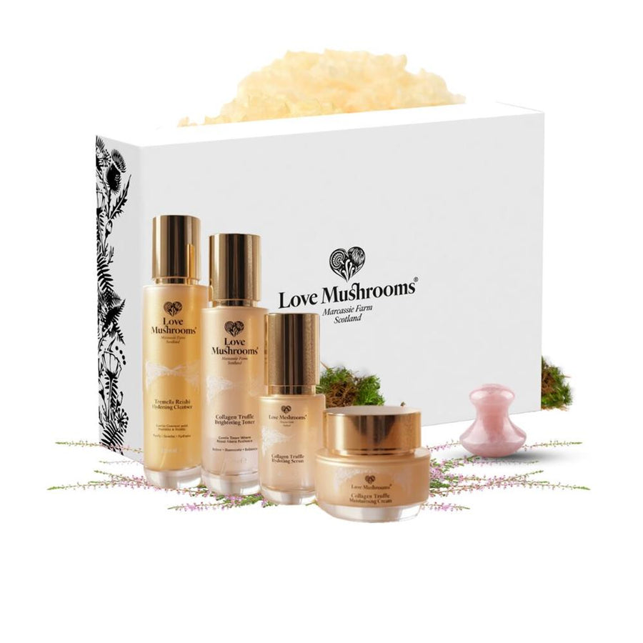 Love Mushrooms Collagen Truffle Gift Set