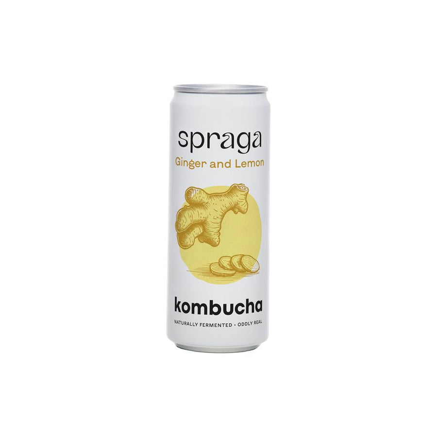 Raw & Organic Kombucha Lemon & Ginger 330ml