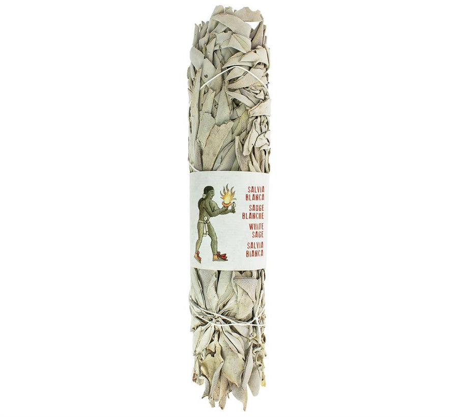 California White Sage Smudging Bundle 22-25 cm
