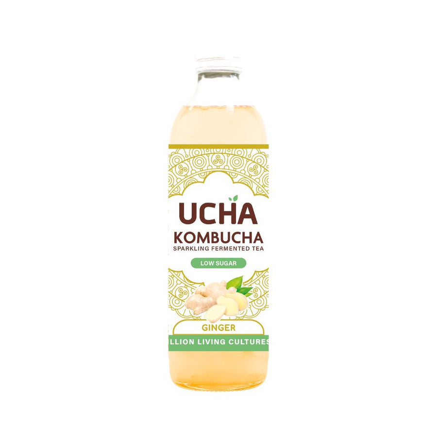Ucha Kombucha Ginger 350ML