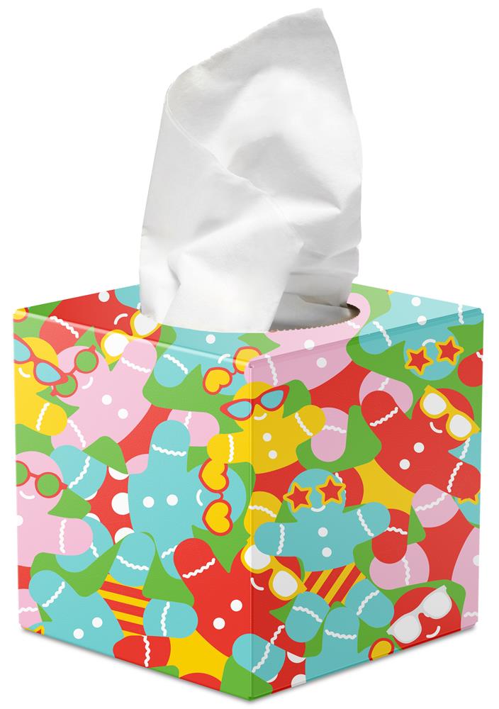 Soft & Strong Gift Edition Facial Tissues