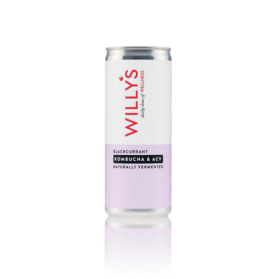 Willy's Blackcurrant Kombucha & ACV 250ml