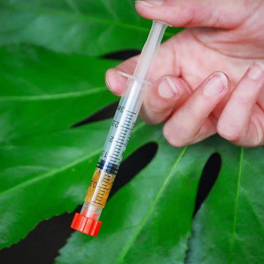 Orange County CBD Pure CBD Extract & Syringe 2000mg 86% (2ml)