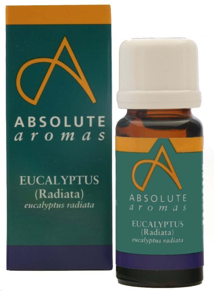Absolute Aromas Eucalyptus Radiata Oil 10ml