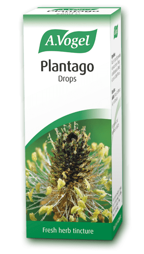 A.Vogel Plantago Drops 50ml