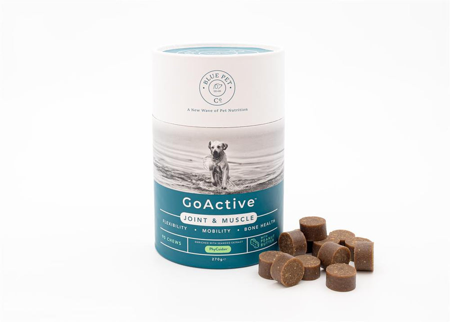 Blue Pet Co GoActive Peanut Putter Muscle Bone & Joint Supplements - 90 Chews