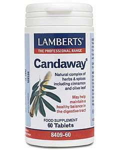 Lamberts Candaway 60 Tablets