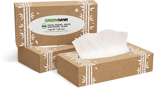 Greencane Paper 2 Ply Facial Tissues 90 Sheets