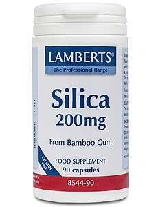 Lamberts Silica 200mg 90 Capsules